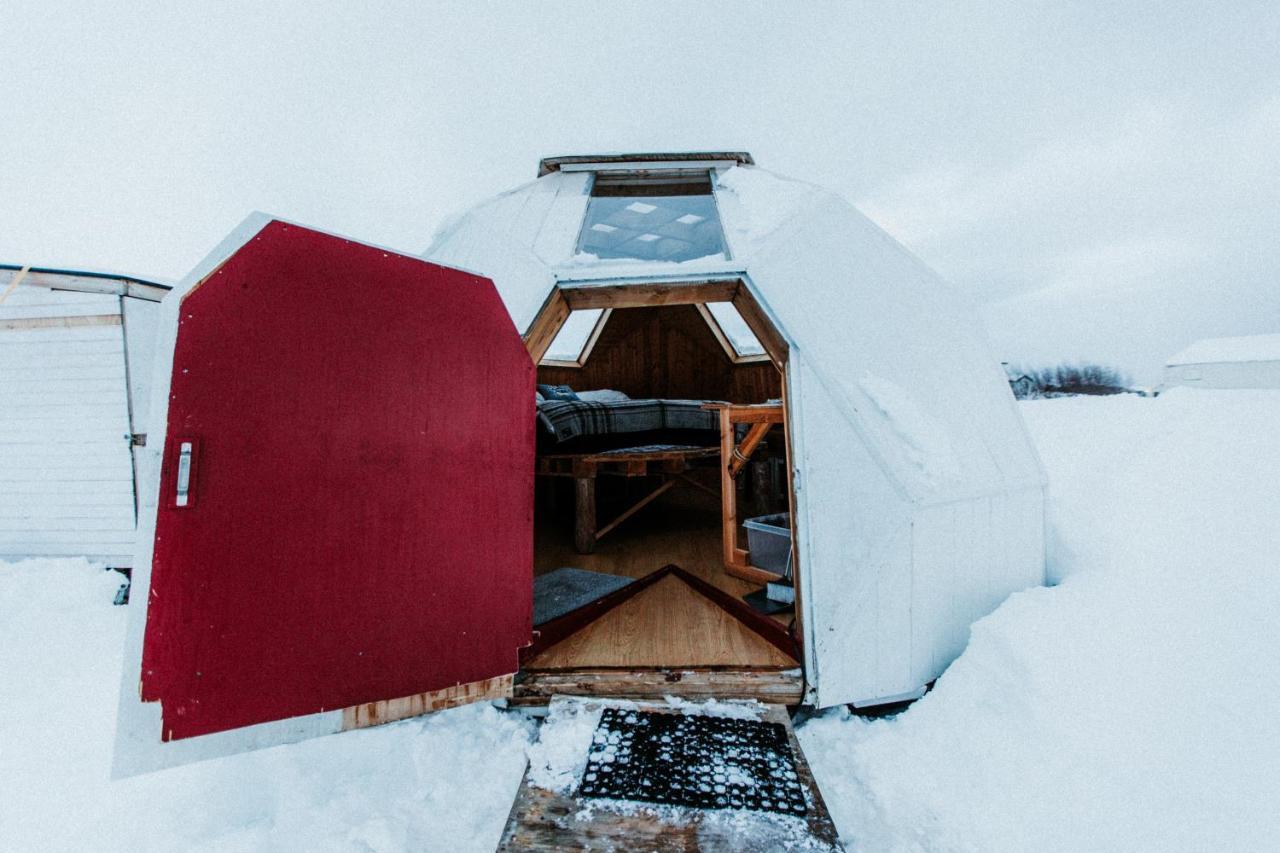 Sky Sighting Igluhus - Stay'In Arbakki Arskogssandur Exterior photo